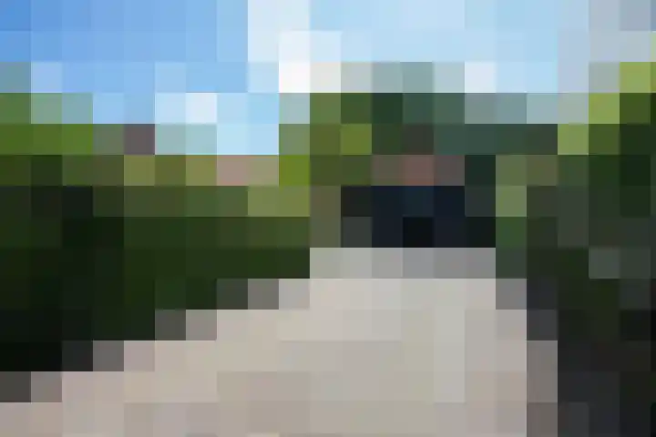 Vloeieind 16 Lage Mierde thumbnail 30