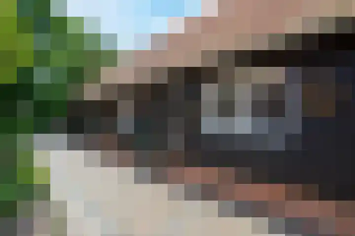 Vloeieind 16 Lage Mierde thumbnail 31