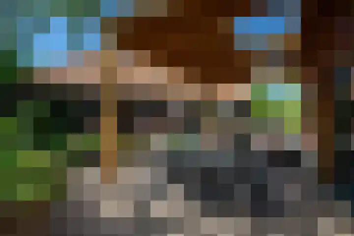 Vloeieind 16 Lage Mierde thumbnail 34
