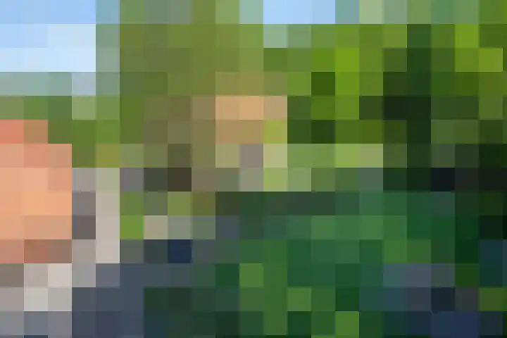 Vloeieind 16 Lage Mierde thumbnail 35