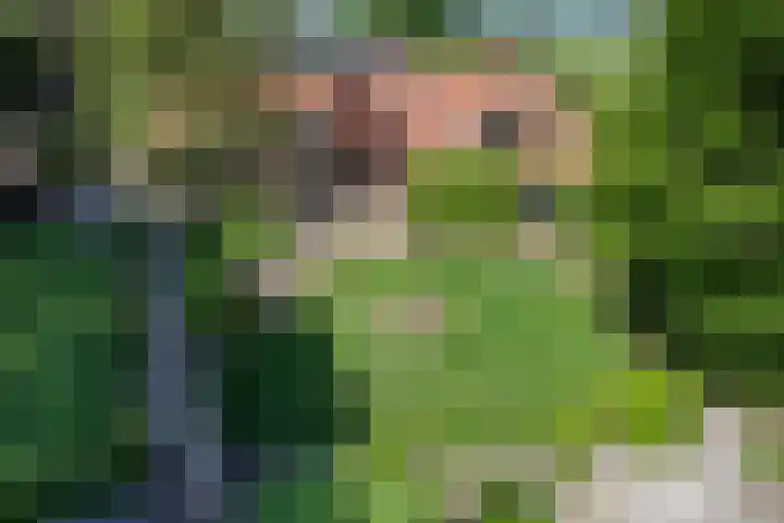 Vloeieind 16 Lage Mierde thumbnail 36
