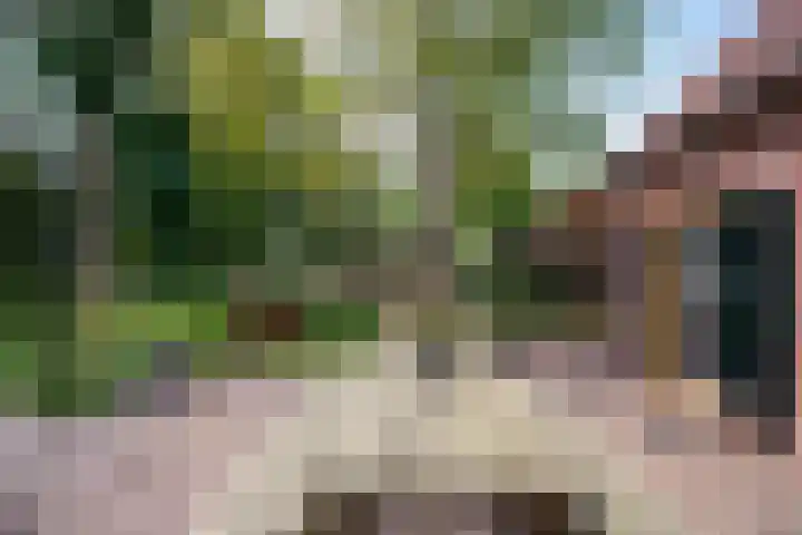 Vloeieind 16 Lage Mierde thumbnail 37
