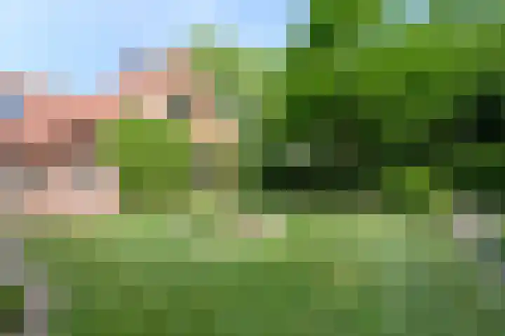 Vloeieind 16 Lage Mierde thumbnail 38