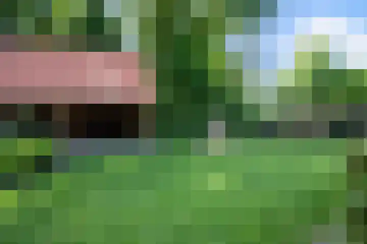 Vloeieind 16 Lage Mierde thumbnail 39