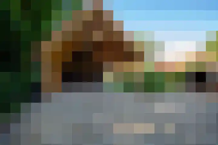 Vloeieind 16 Lage Mierde thumbnail 40