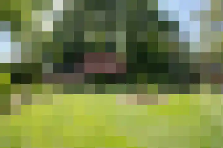Vloeieind 16 Lage Mierde thumbnail 41