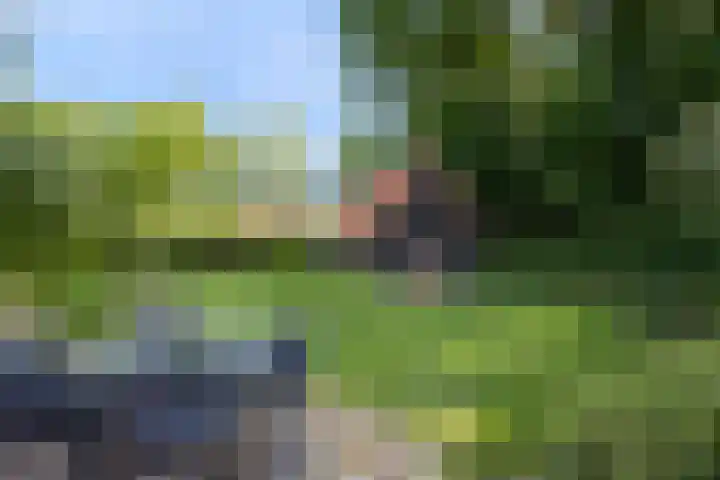 Vloeieind 16 Lage Mierde thumbnail 42