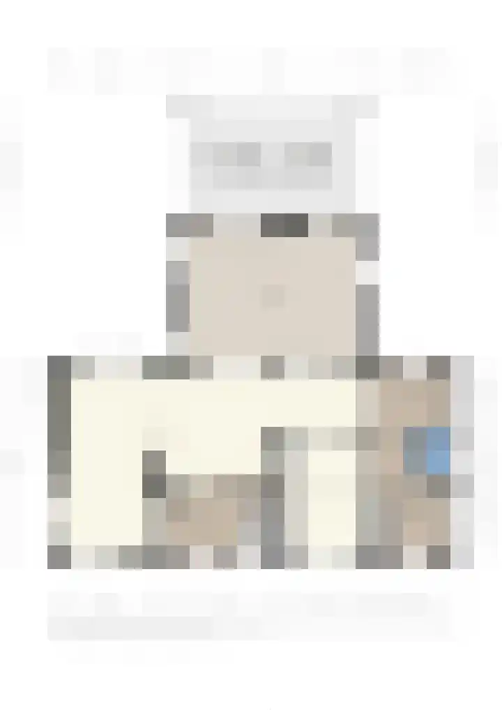 Vloeieind 16 Lage Mierde thumbnail 45