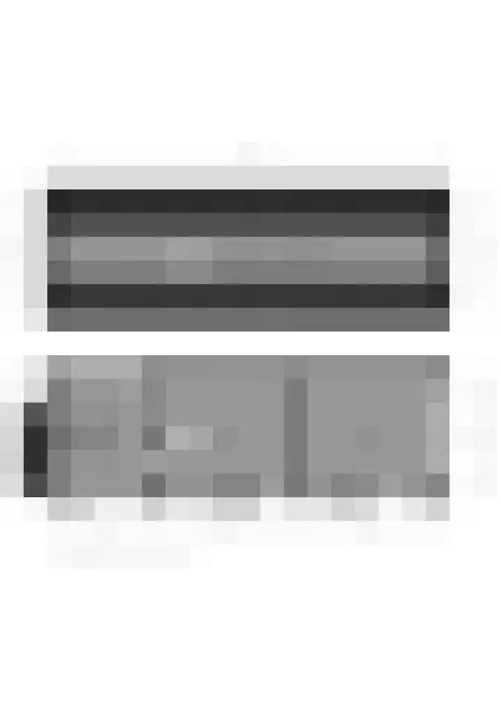Vloeieind 16 Lage Mierde thumbnail 48