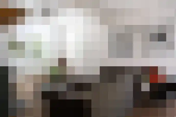 Vloeieind 16 Lage Mierde thumbnail 6