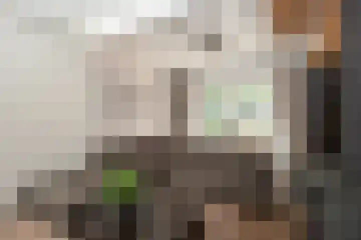 Vloeieind 16 Lage Mierde thumbnail 7