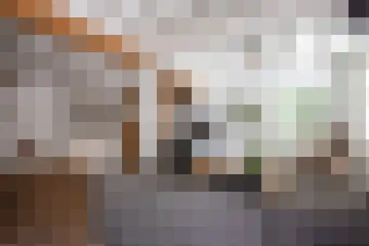 Vloeieind 16 Lage Mierde thumbnail 8