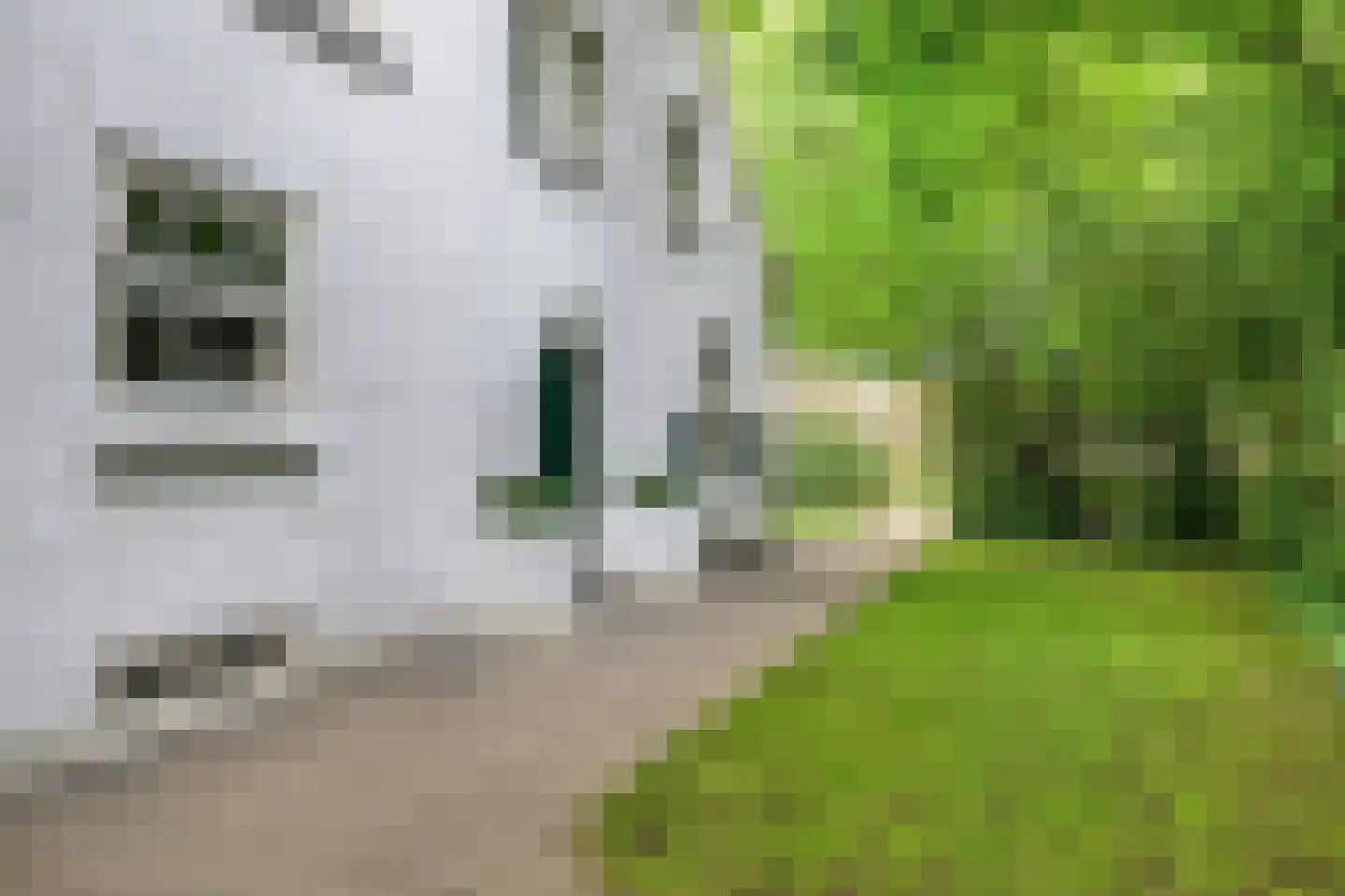 Vloeieind 4 Lage Mierde thumbnail 11