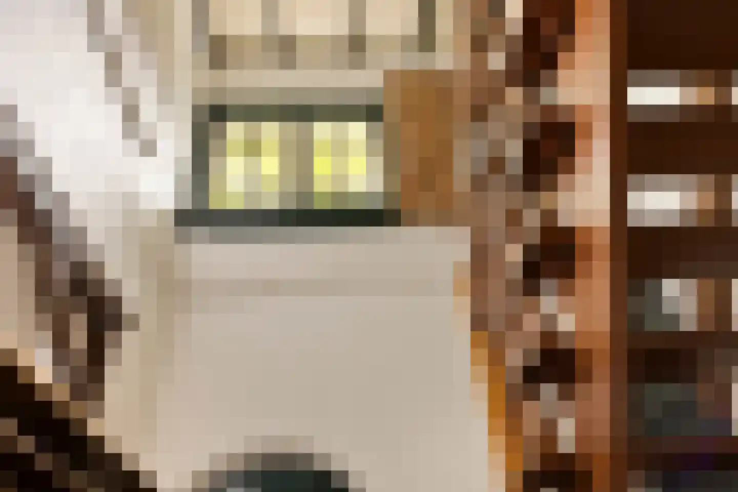 Vloeieind 4 Lage Mierde thumbnail 14