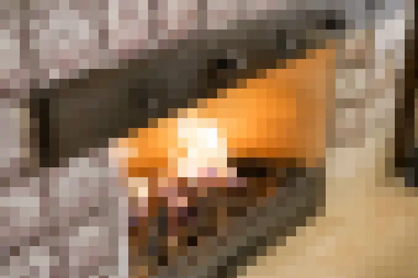 Vloeieind 4 Lage Mierde thumbnail 18