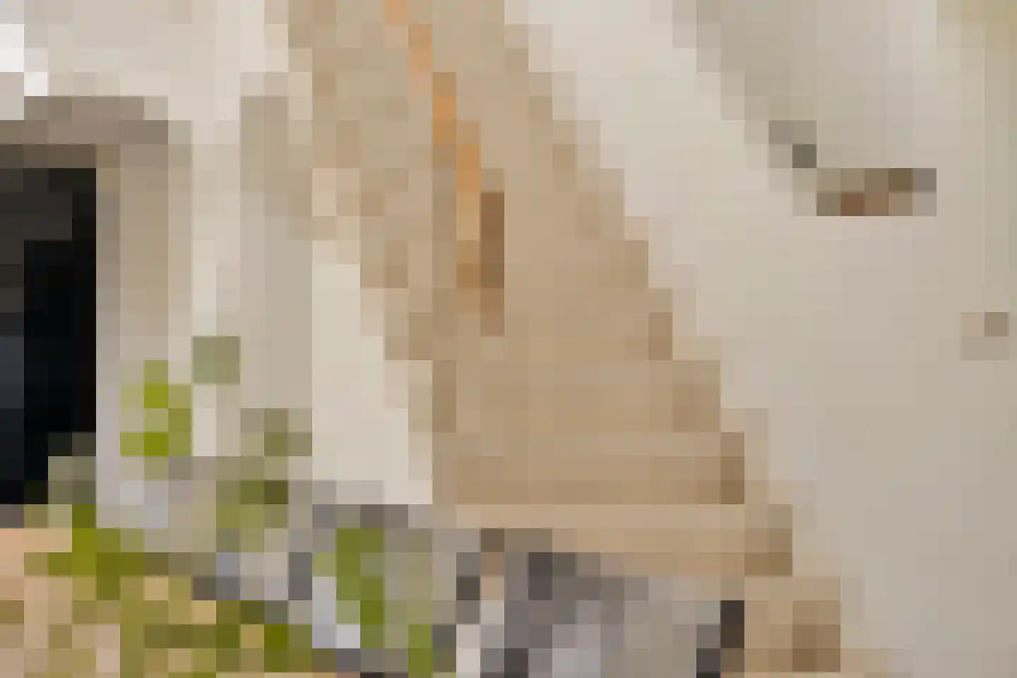 Vloeieind 4 Lage Mierde thumbnail 28