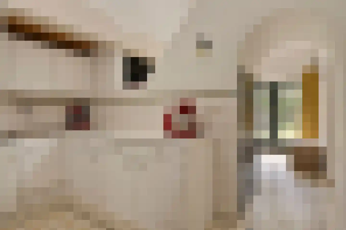 Vloeieind 4 Lage Mierde thumbnail 32