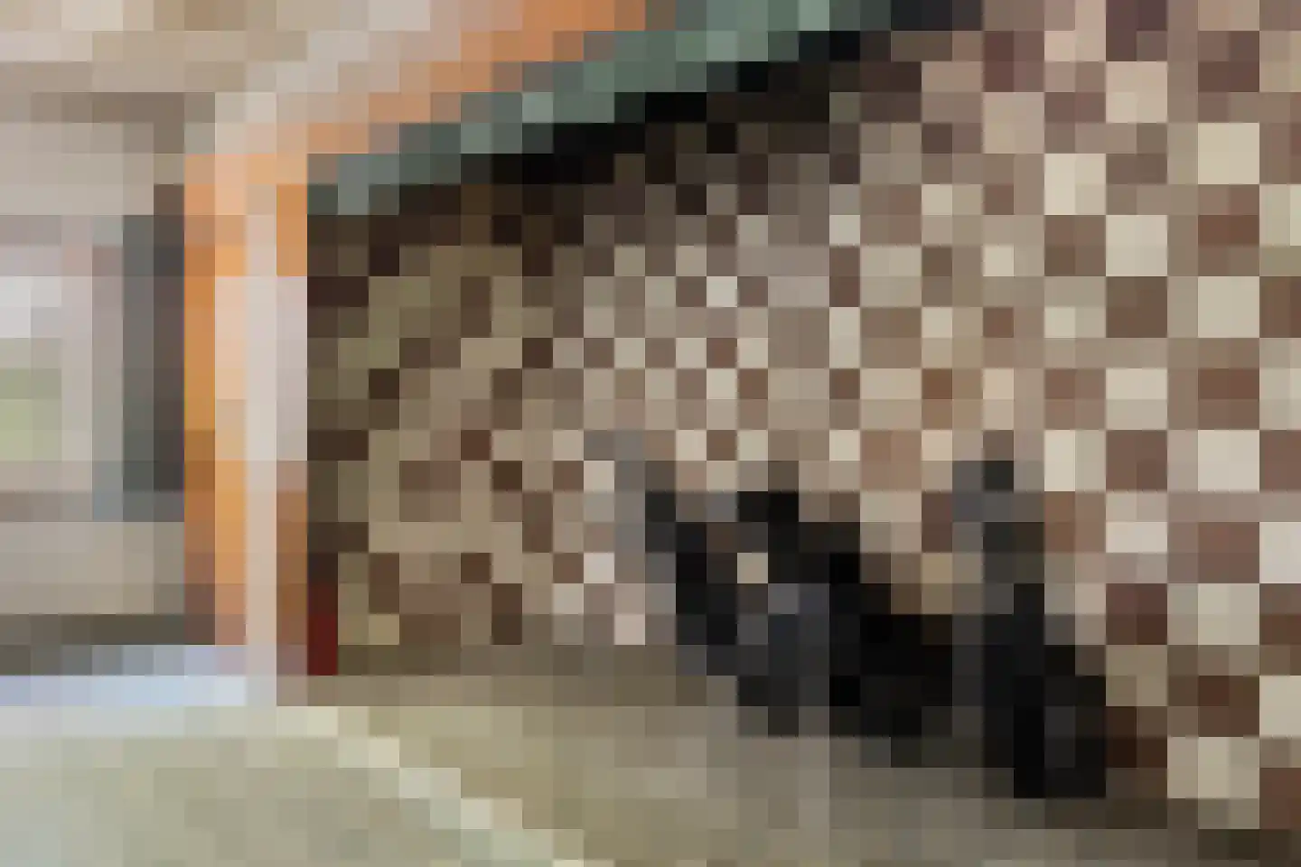 Vloeieind 4 Lage Mierde thumbnail 40