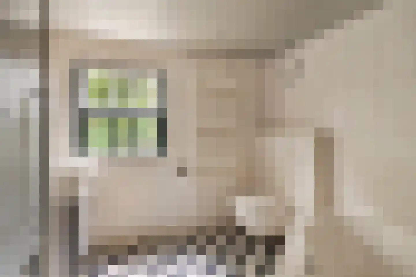 Vloeieind 4 Lage Mierde thumbnail 42