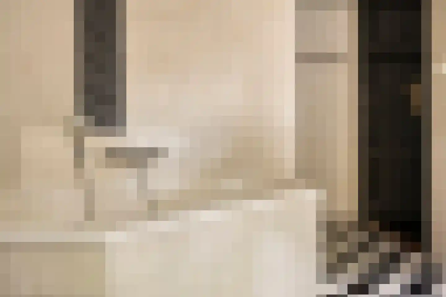 Vloeieind 4 Lage Mierde thumbnail 43