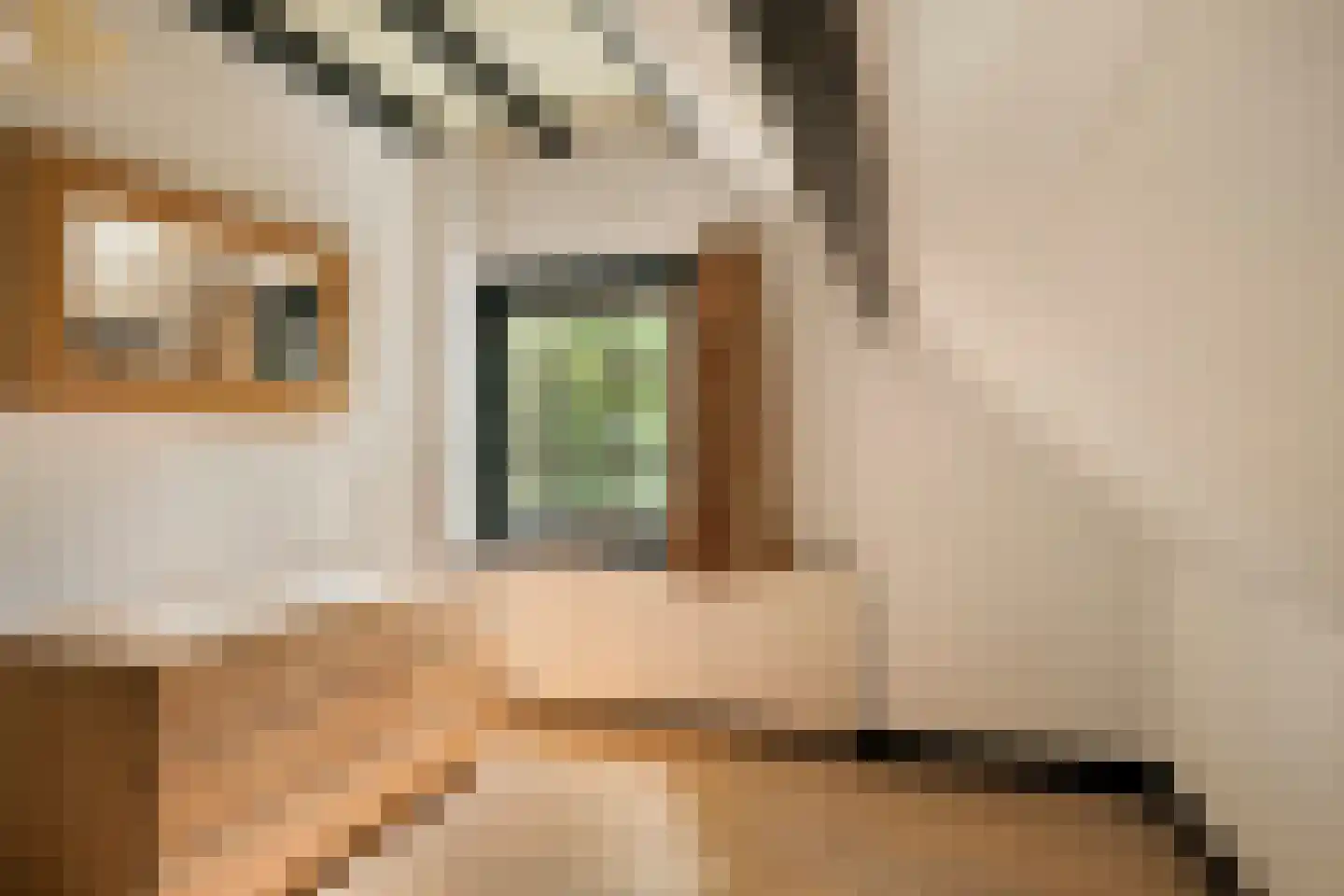 Vloeieind 4 Lage Mierde thumbnail 49