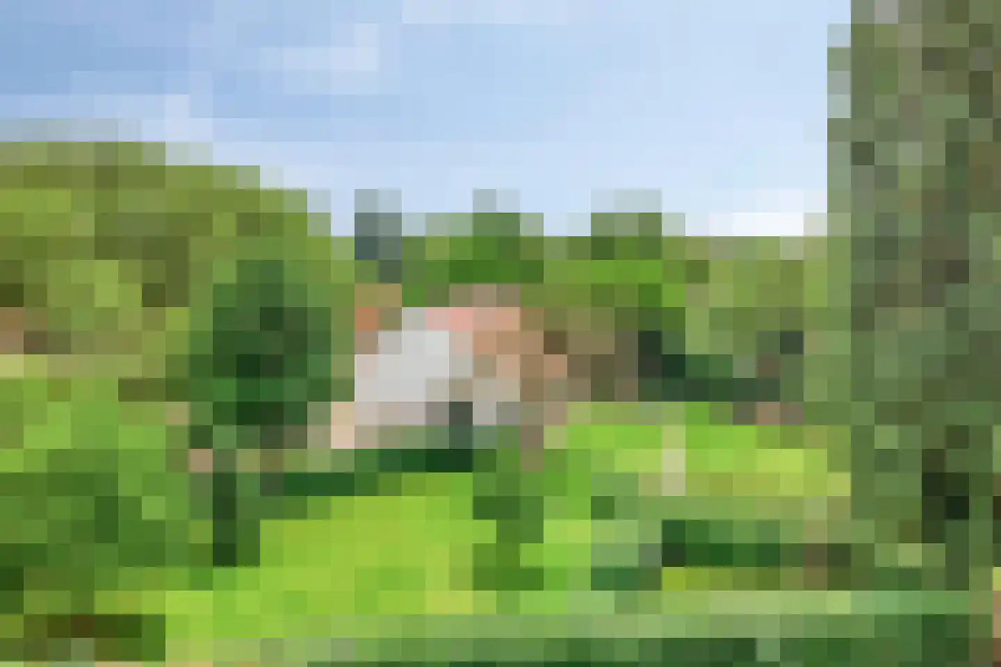 Vloeieind 4 Lage Mierde thumbnail 5