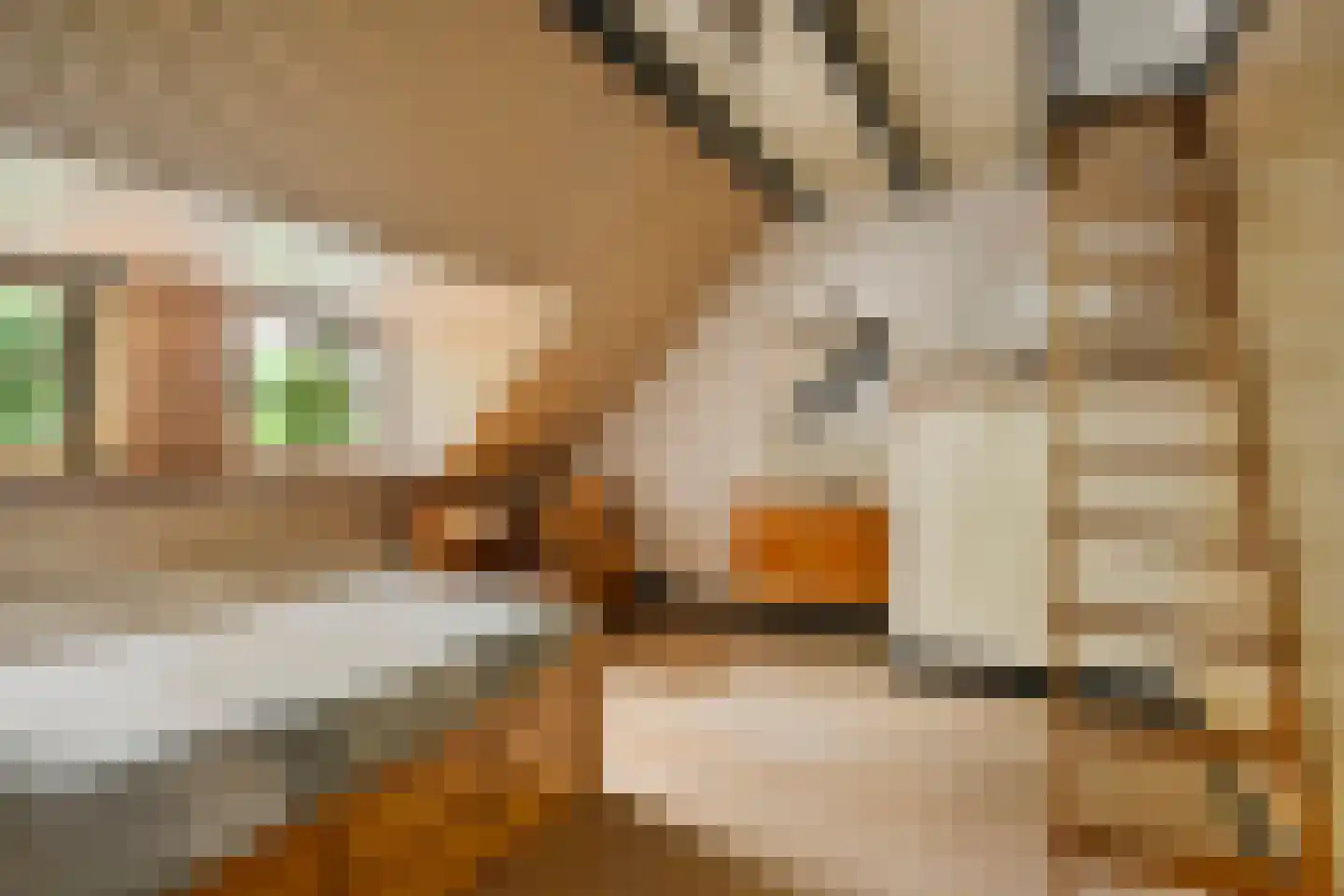 Vloeieind 4 Lage Mierde thumbnail 54