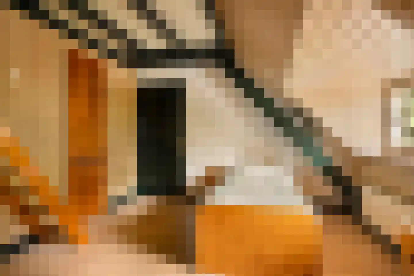 Vloeieind 4 Lage Mierde thumbnail 55