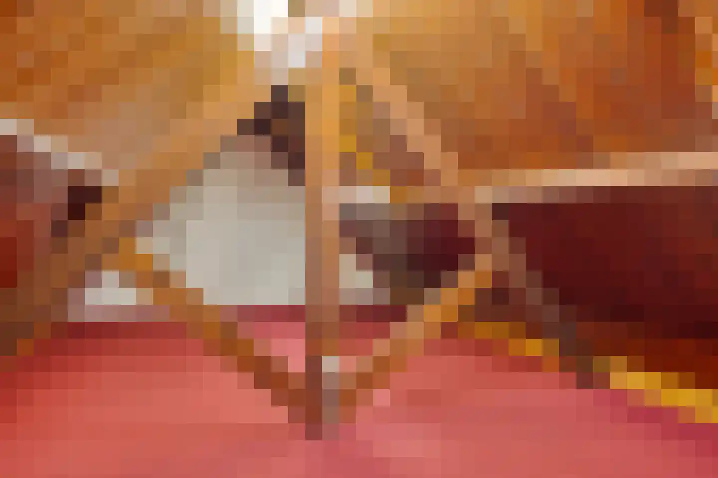 Vloeieind 4 Lage Mierde thumbnail 56