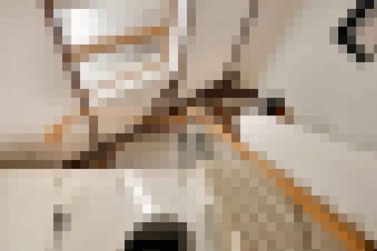 Vloeieind 4 Lage Mierde thumbnail 58