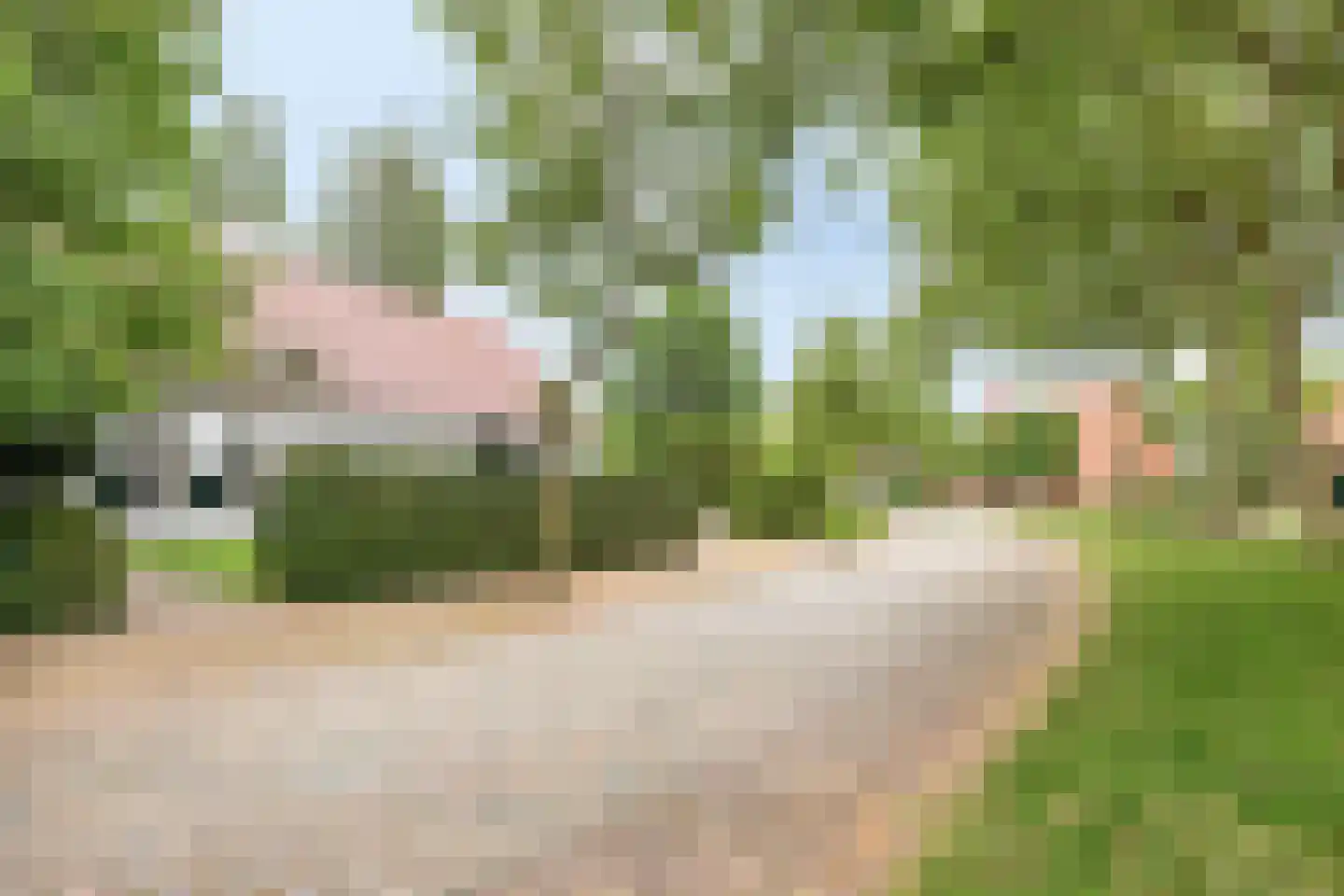 Vloeieind 4 Lage Mierde thumbnail 6