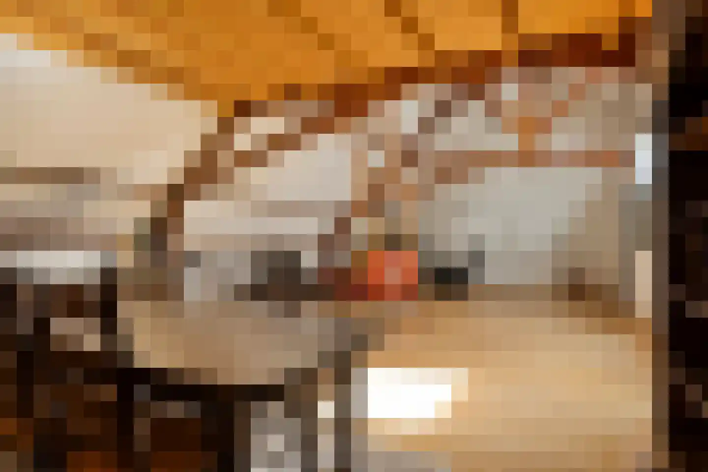 Vloeieind 4 Lage Mierde thumbnail 61