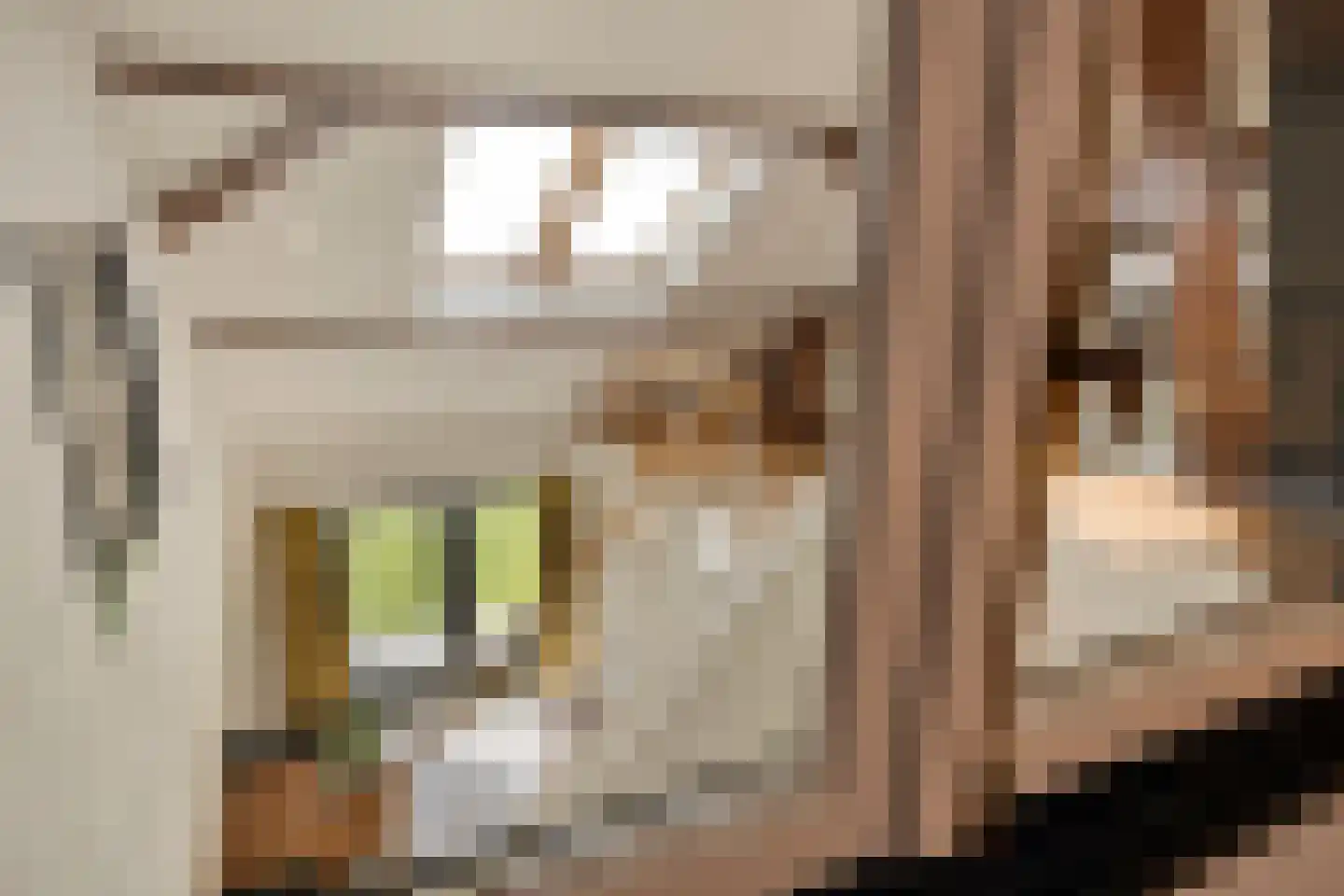 Vloeieind 4 Lage Mierde thumbnail 67