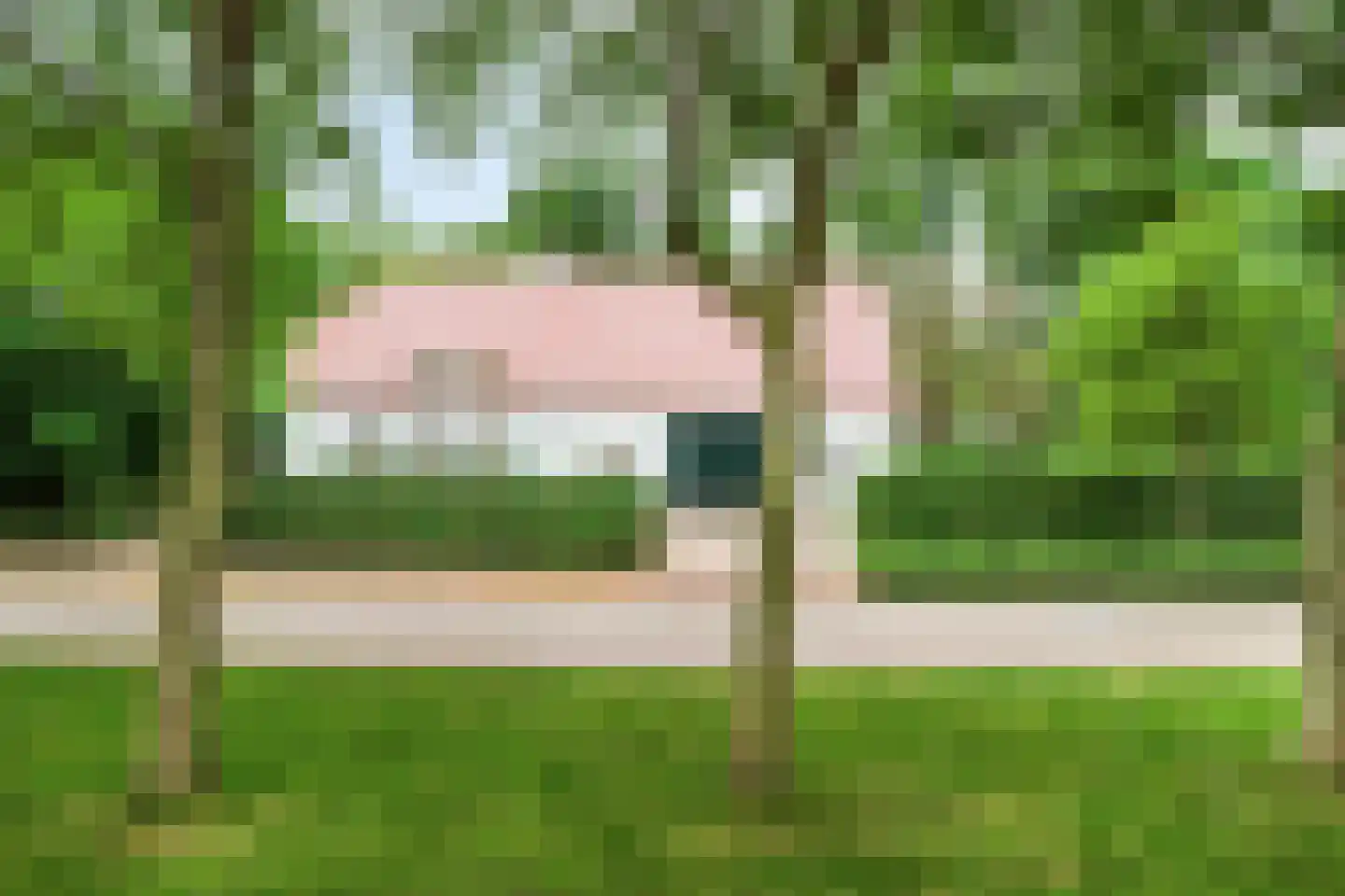 Vloeieind 4 Lage Mierde thumbnail 68