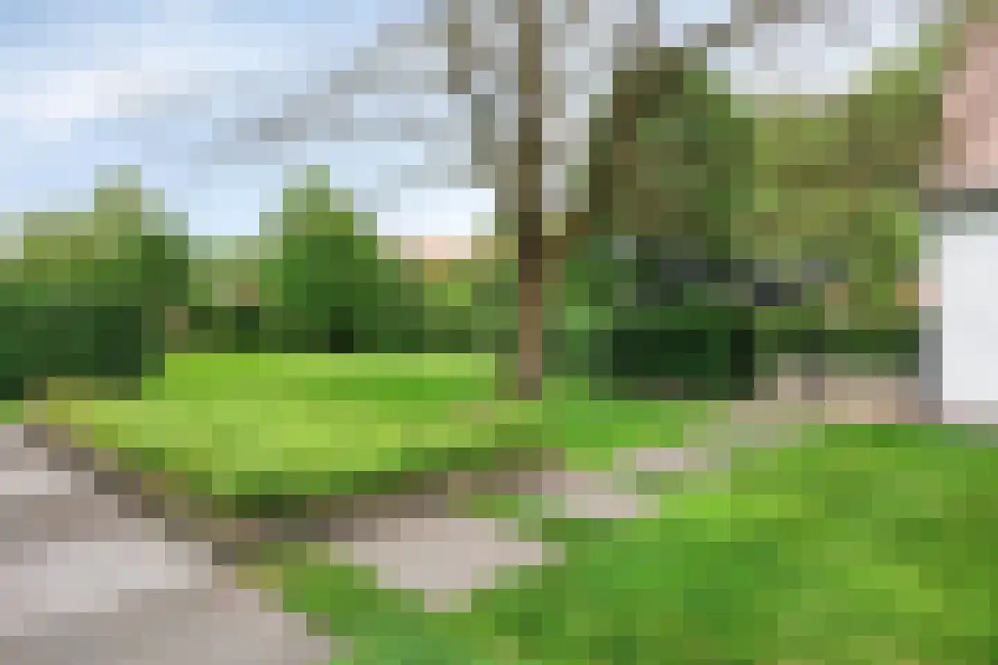 Vloeieind 4 Lage Mierde thumbnail 73
