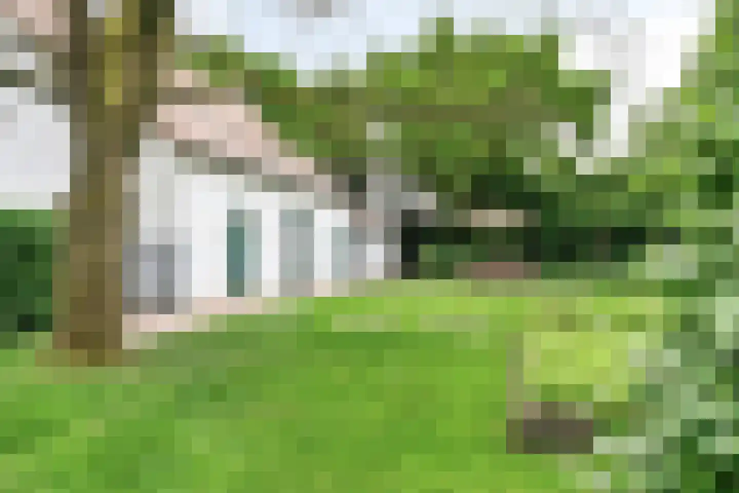 Vloeieind 4 Lage Mierde thumbnail 74