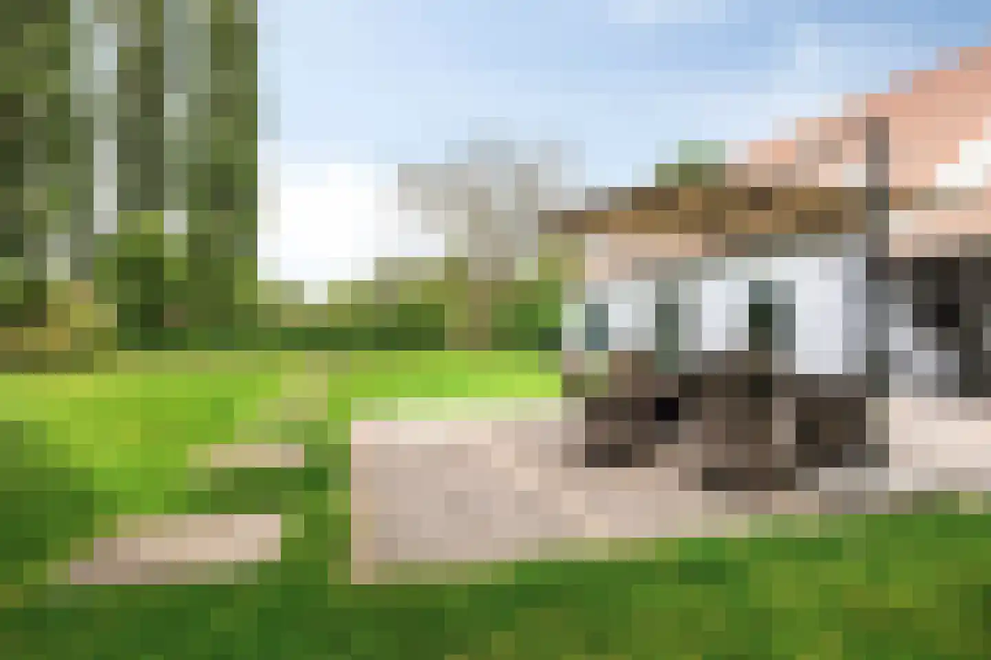 Vloeieind 4 Lage Mierde thumbnail 76