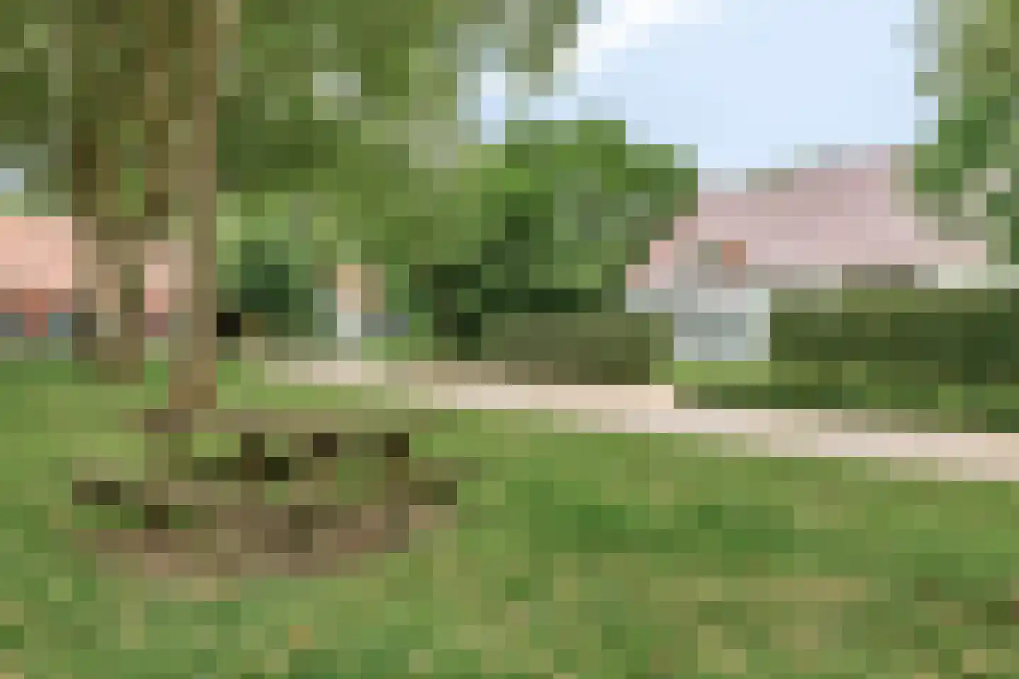 Vloeieind 4 Lage Mierde thumbnail 8