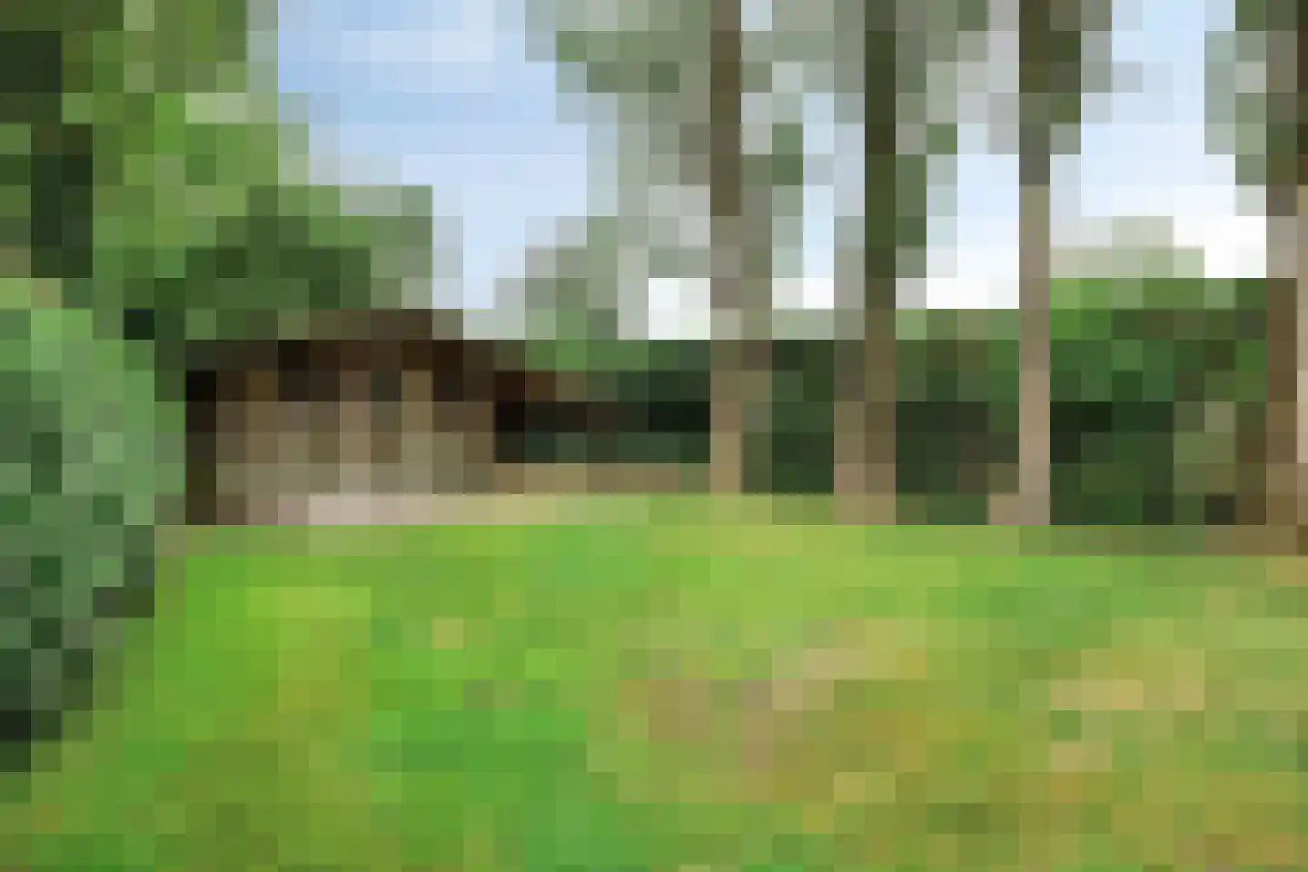 Vloeieind 4 Lage Mierde thumbnail 84