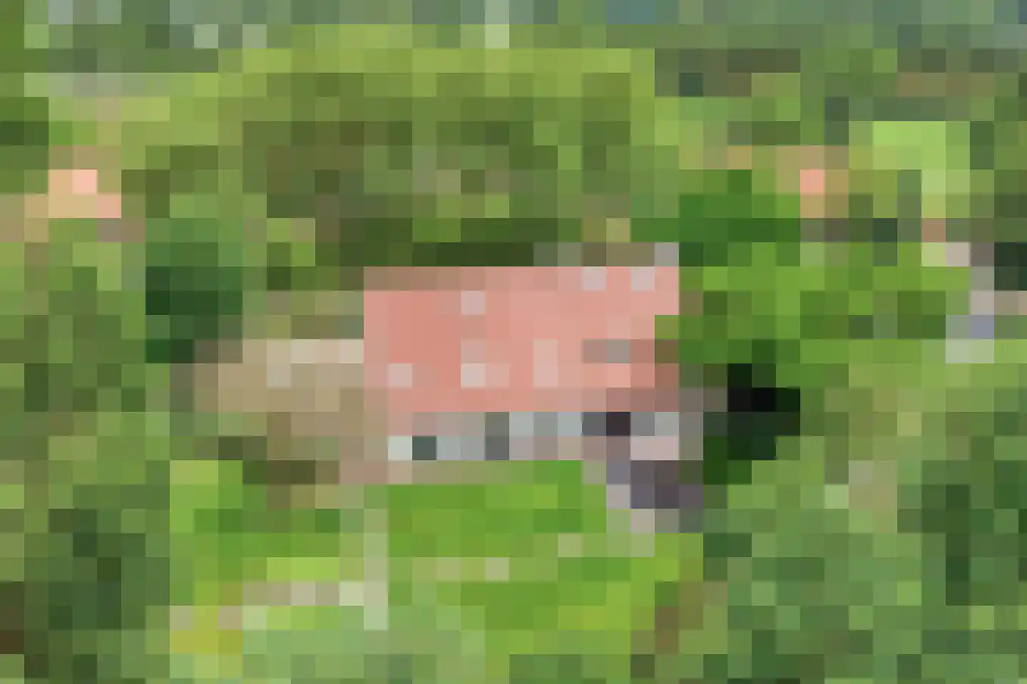 Vloeieind 4 Lage Mierde thumbnail 86