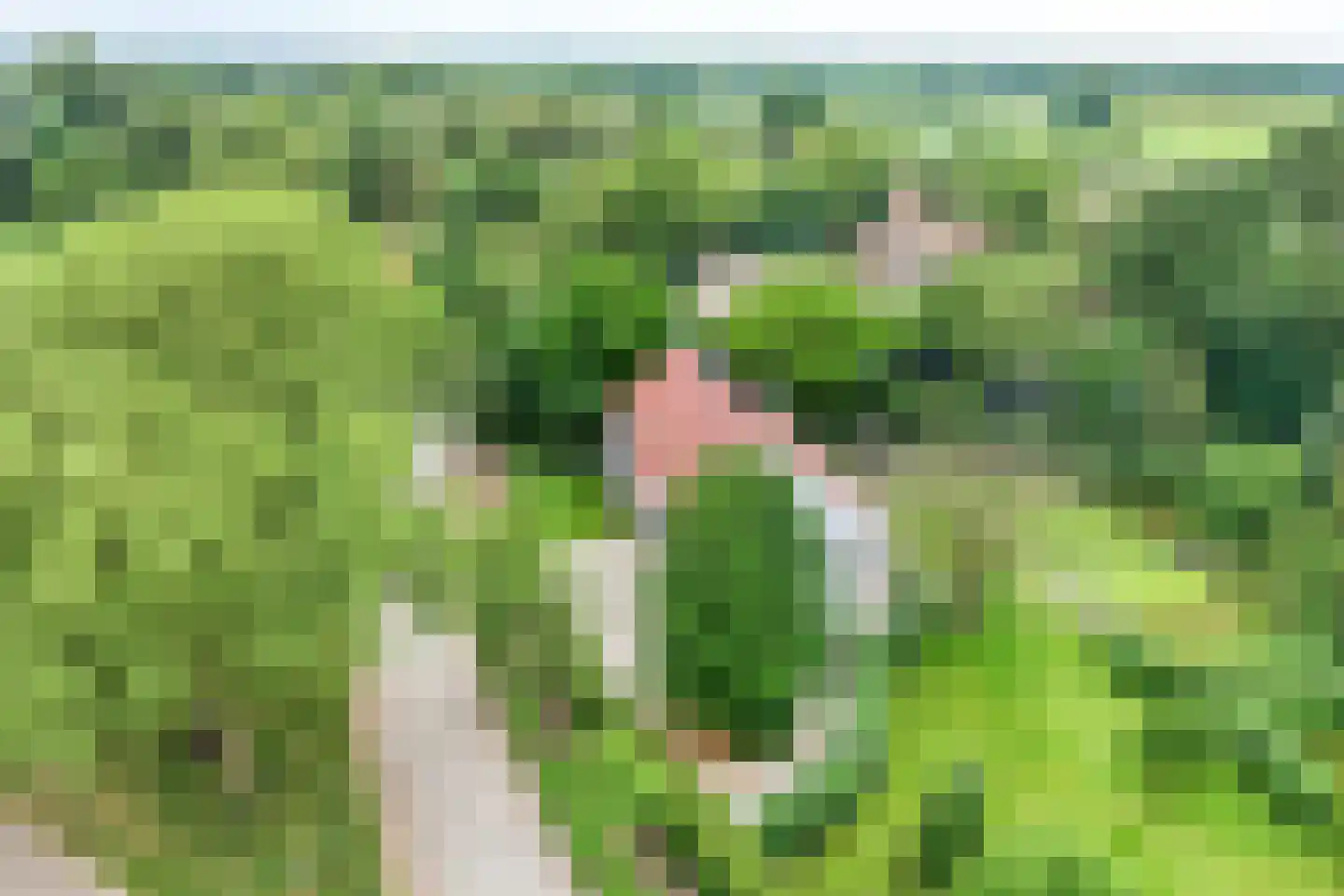 Vloeieind 4 Lage Mierde thumbnail 87