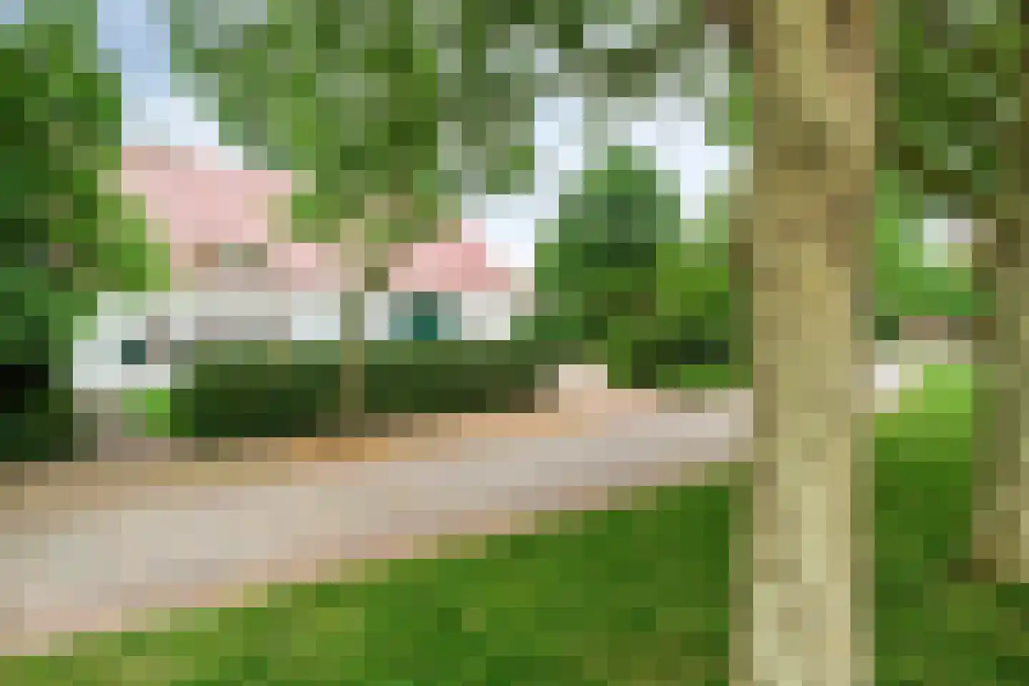 Vloeieind 4 Lage Mierde thumbnail 88