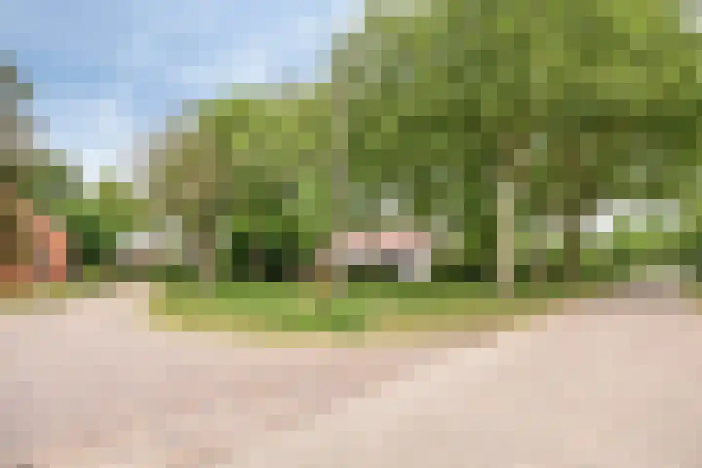 Vloeieind 4 Lage Mierde thumbnail 89