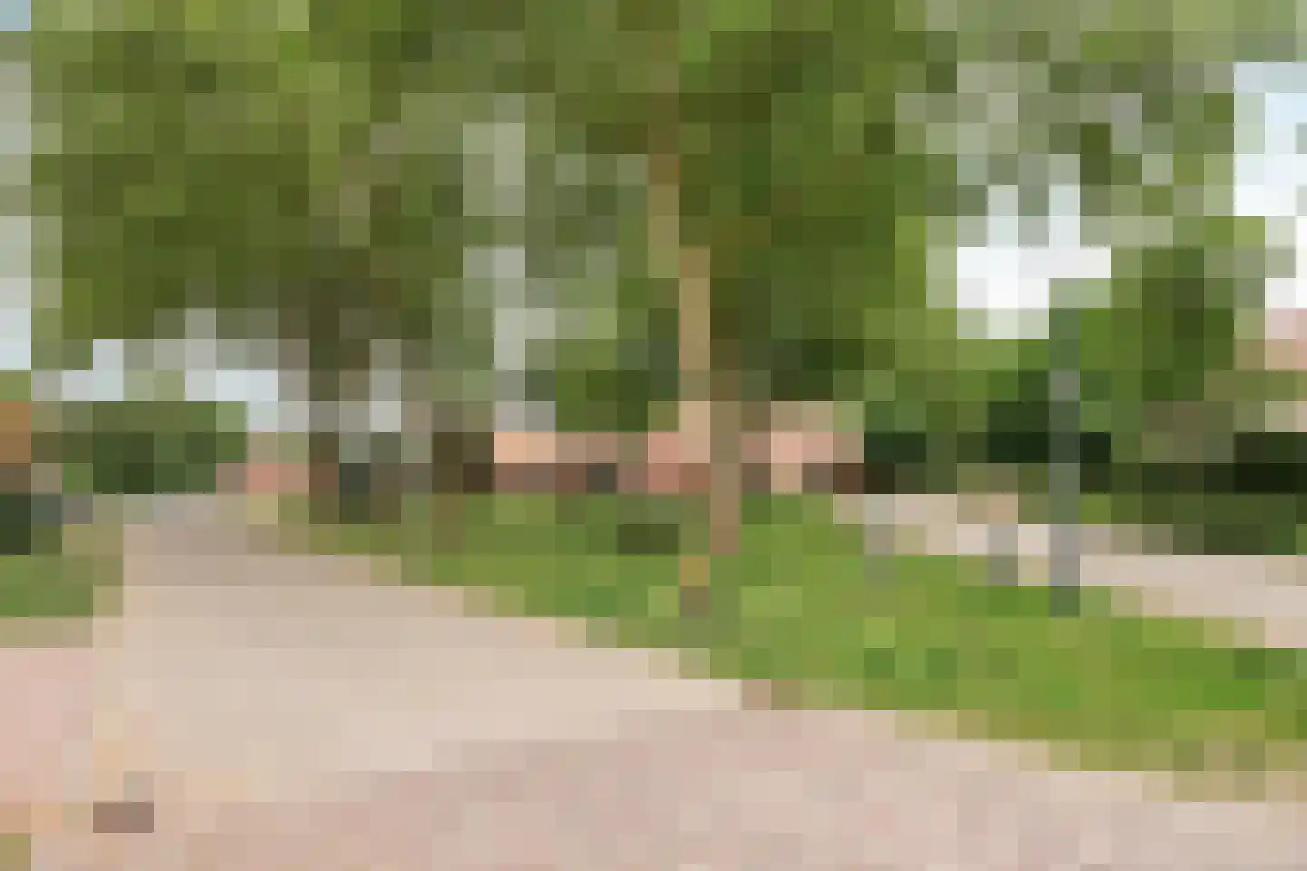 Vloeieind 4 Lage Mierde thumbnail 90