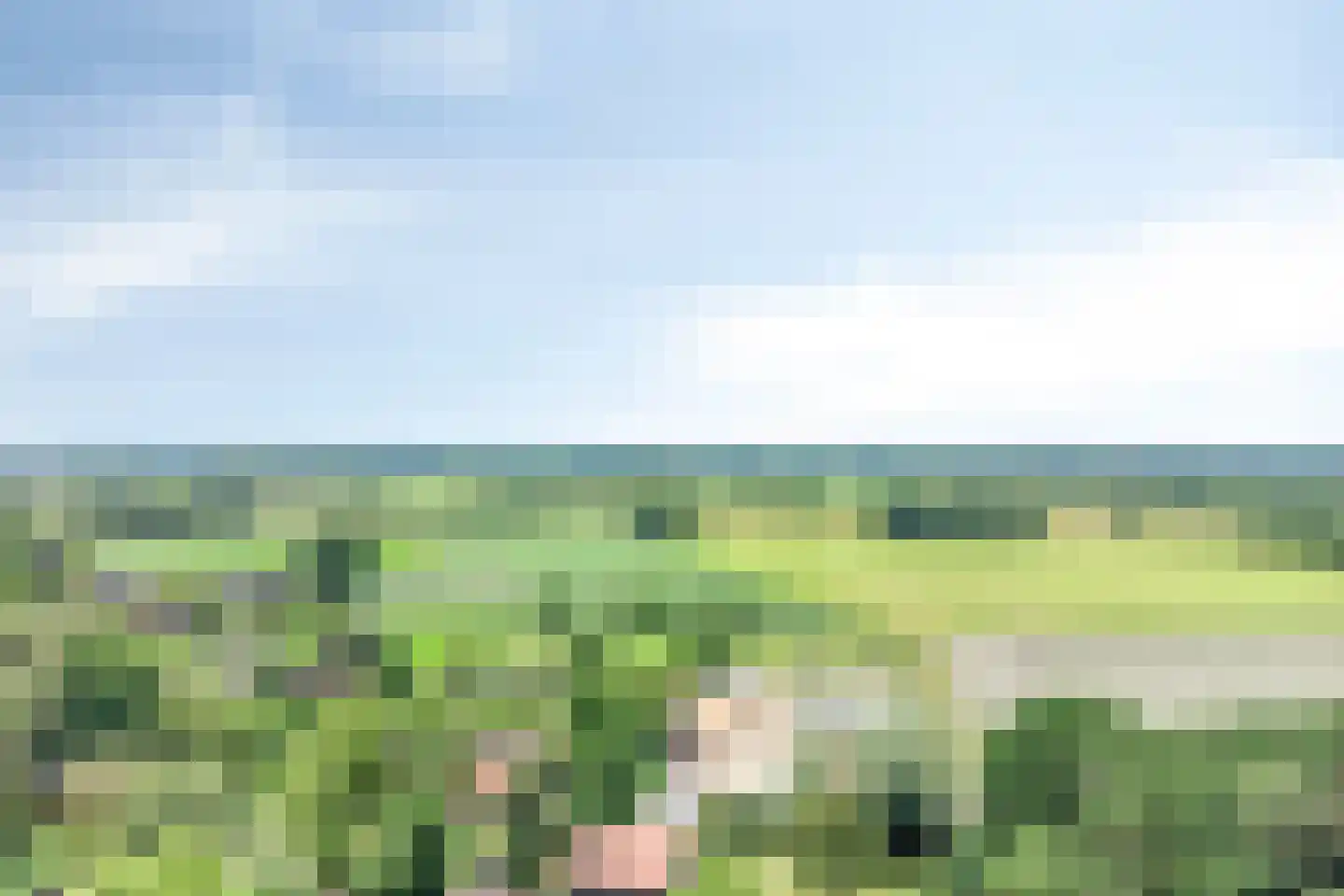 Vloeieind 4 Lage Mierde thumbnail 91