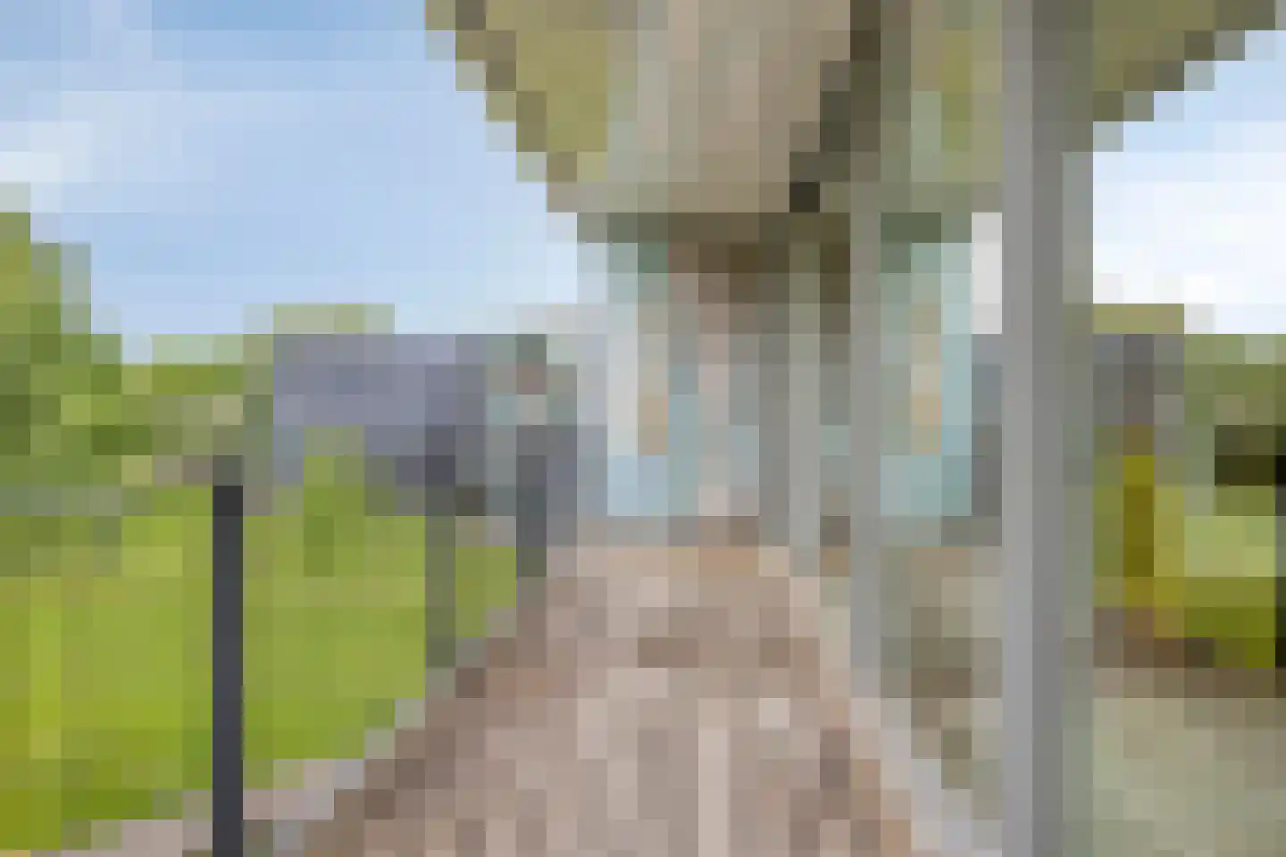 Vloeiweg 15 Oisterwijk thumbnail 24