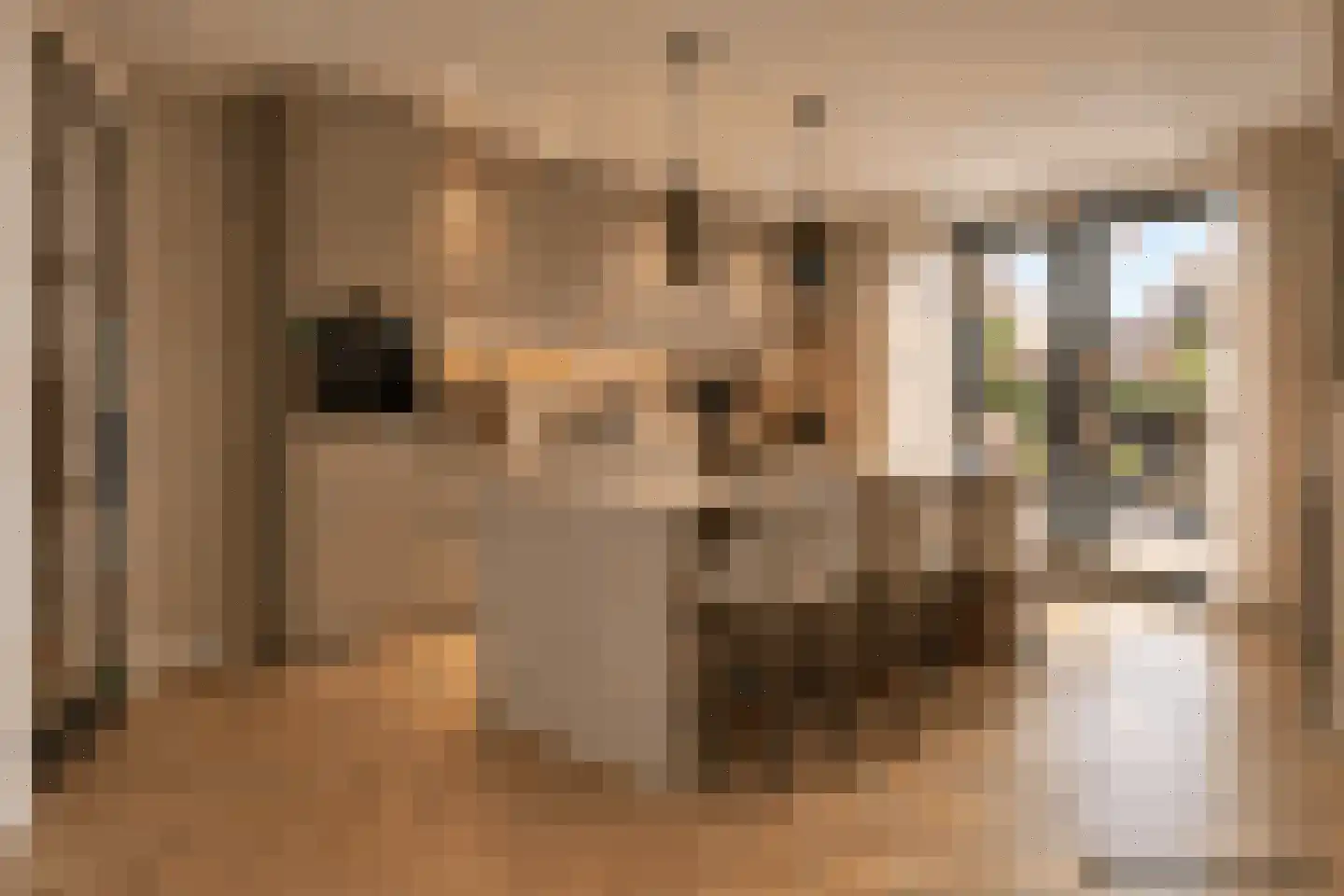 Vloeiweg 150 Oisterwijk thumbnail 22