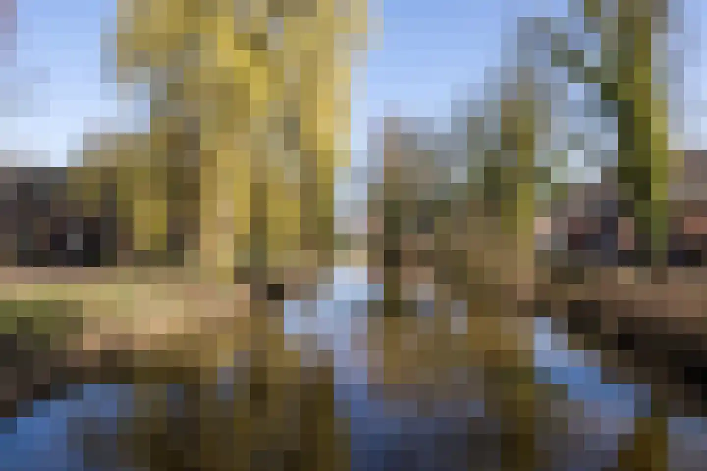 Vloeiweg 25 A Oisterwijk thumbnail 21
