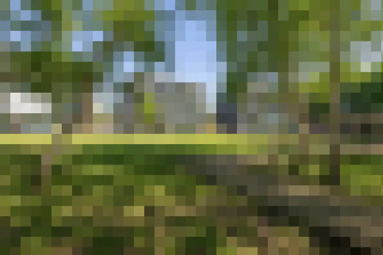 Vloeiweg 25 A Oisterwijk thumbnail 22