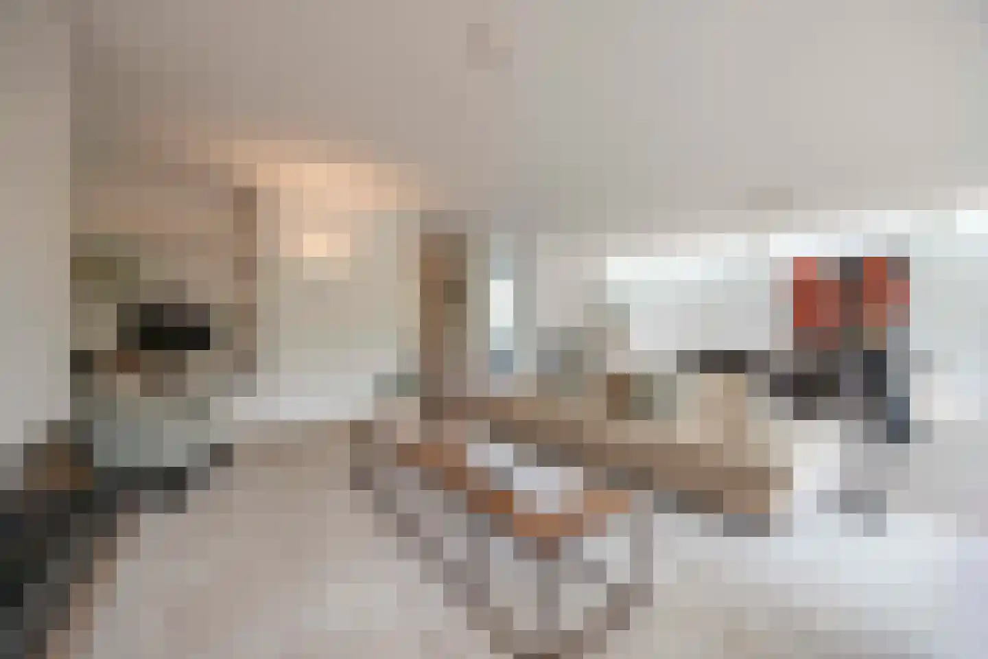 Vloeiweg 31 Oisterwijk thumbnail 10